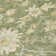 Machine Washable Indoor/Outdoor Cicel ACN1150 Aloe Rug