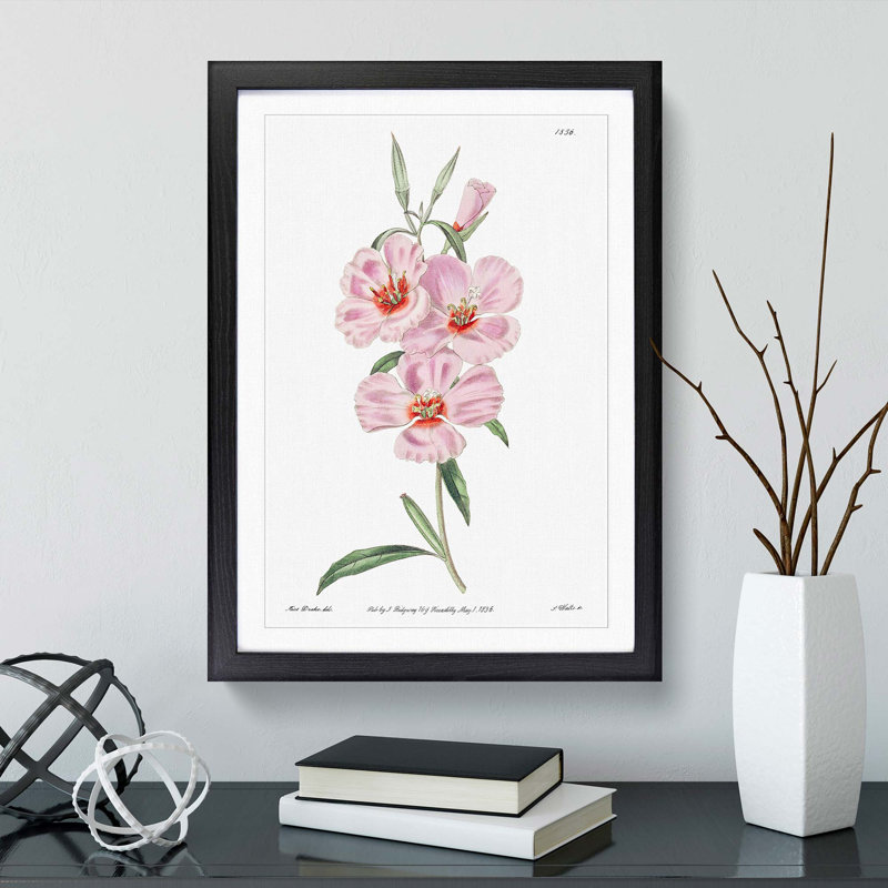 Blooming Pink Hibiscus Flowers - Picture Frame Graphic Art Print, 36cm H x 27cm W x 2cm D, Black Framed