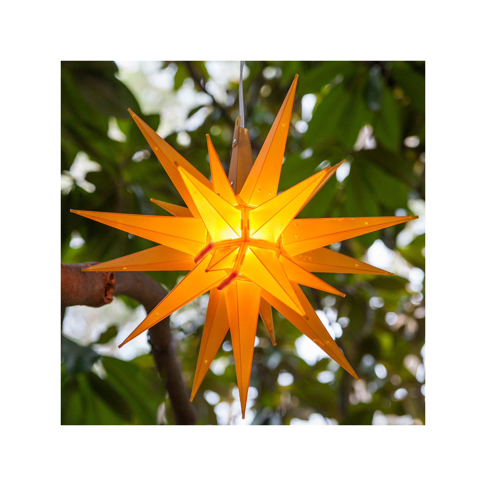 Moravian Star Lighted Display, Gold