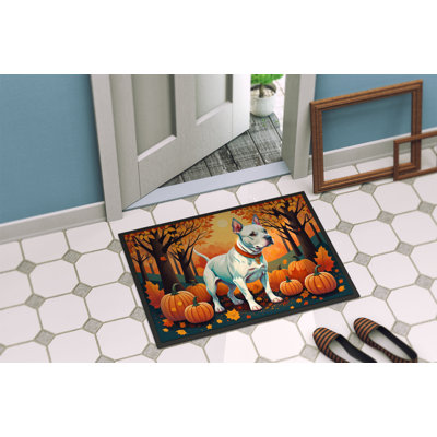 Chonie Non-Slip Indoor / Outdoor Doormat