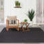 Tapis intérieur / extérieur noir Nourison Essentials-1548829001