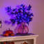 Halloween Maple Indoor/Outdoor LED Color Changing Artificial Branch, 33"H