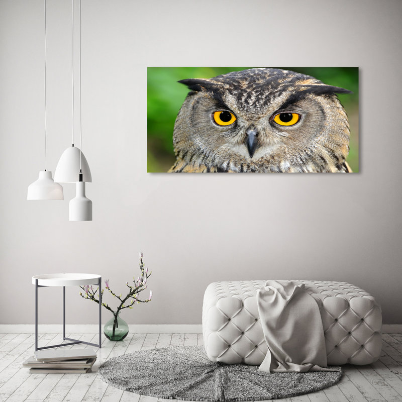 Owl - Wrapped Canvas Print
