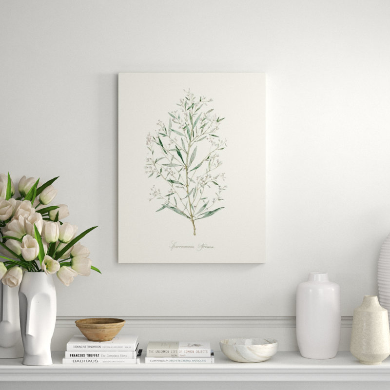 Herb Garden III Print by Sara Brown, 52" H x 40" W x 1.5" D, Glass Coat