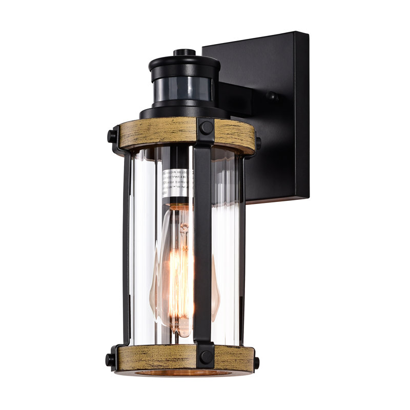 Leasure 12.5"H Outdoor Wall Lantern