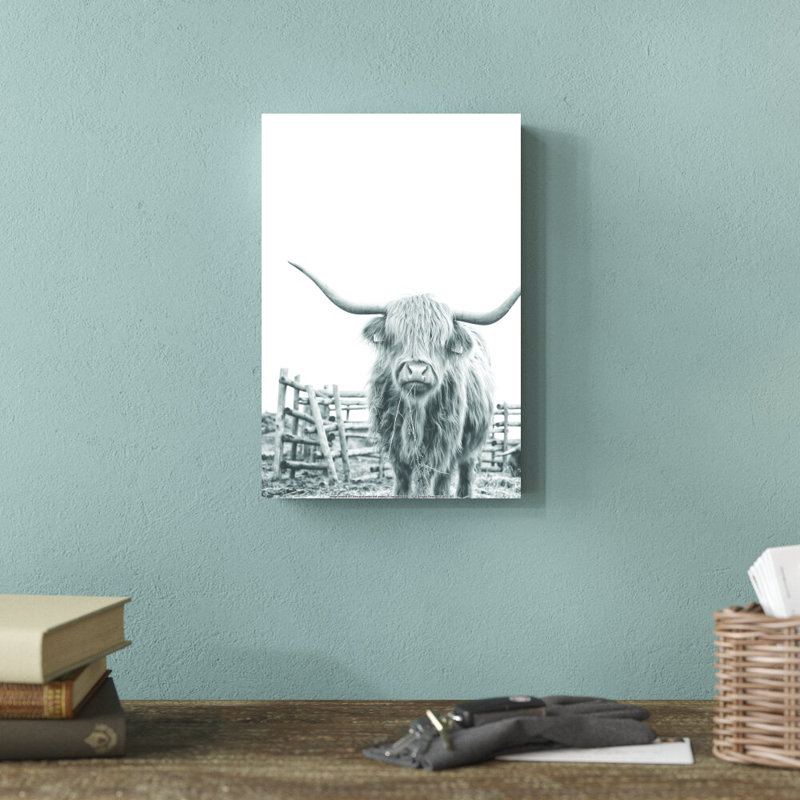 Noir et blanc Highland Cow - impression, H 12 po x l 8 po