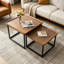 Dringenberg Frame Coffee Table