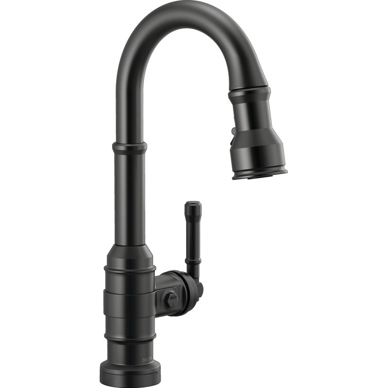 Broderick Pull Down Single Handle Kitchen Faucet with Accessories