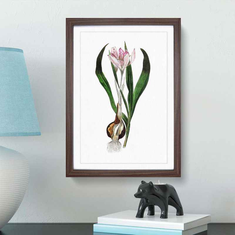 Autumn Crocus Flowers Illustration - Single Picture Frame Painting, 33cm H x 24cm W x 2cm D, Walnut Framed