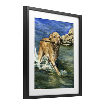 Happy Labrador with Stick Framed Print Under Glass, design by George Dyachenko