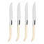 4 Piece Steak Knife Set