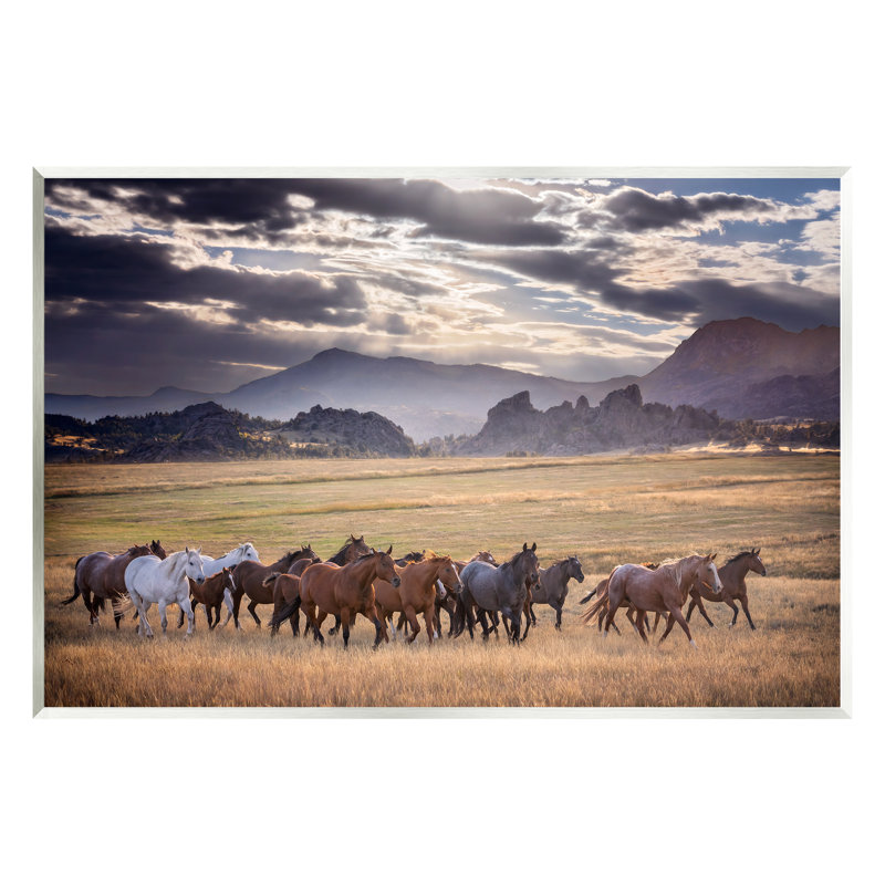 Chevaux au galop, montagnes nuageuses par PHBurchett, H 13 po x l 19 po x P 0,5 po