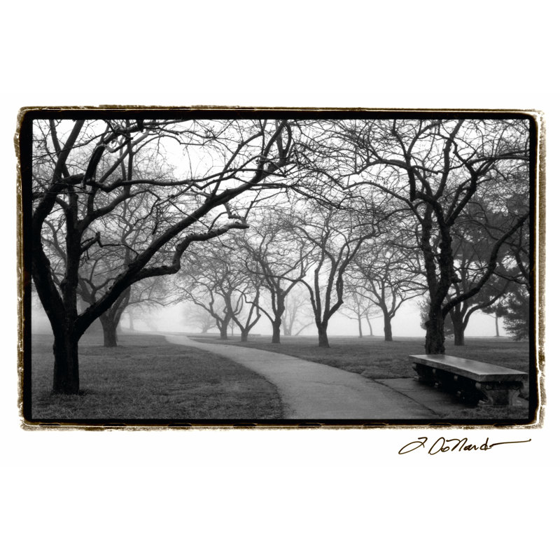 Foggy Morning Walk On FAP by Laura DeNardo - Wrapped Canvas Print, 51cm H x 76cm W