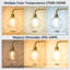 Lampe sur pied arquée 67 po avec abat-jour en verre, télécommande et ampoule incluse-2136929725
