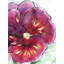 Orchidée fleurie avec pétales ondulés, reproduction sur toile