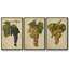 Ensemble de 3 pièces encadrées sur toile Vintage Vines II-467261391-467261390