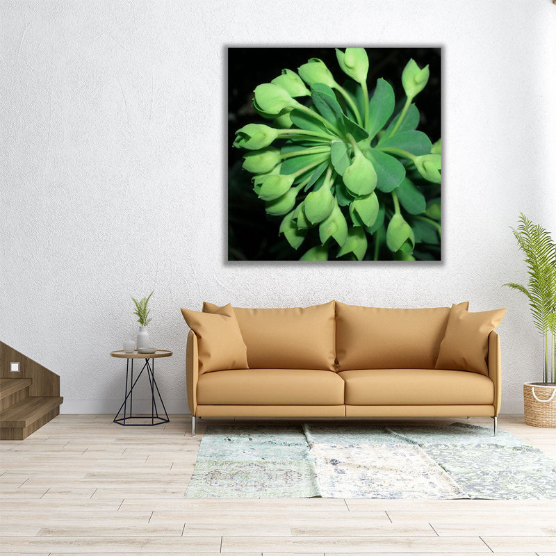 «Succulence I», reproduction d'art sur toile, H 12 po x l 12 po