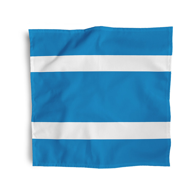 Ensemble de serviettes 4 pièces Woodmont, L 18 po x L 18 po, Azure