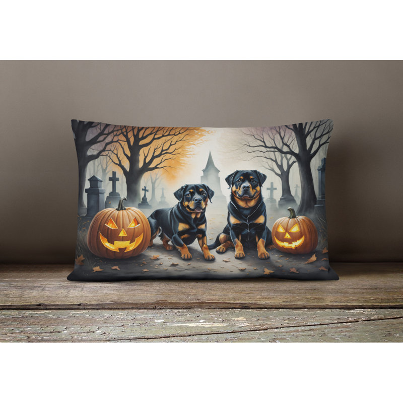 Other/No Pattern Outdoor Throw Pillow
