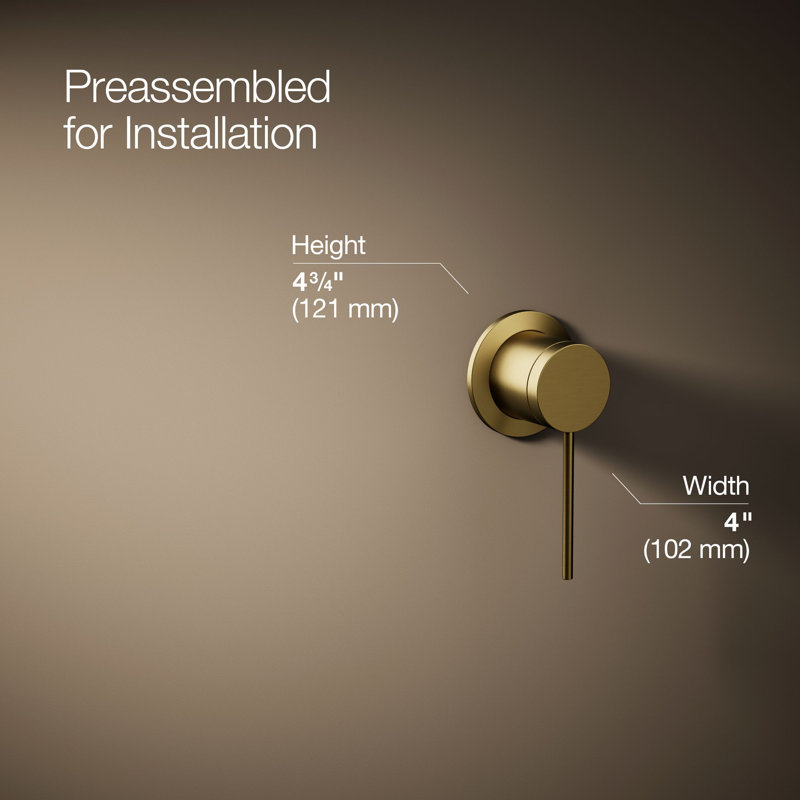 Components Wall-Mount Bathroom Sink Faucet Handle, Vibrant Brushed Moderne Brass