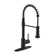 JS Pull Out Kitchen Faucet with Deck Plate 2 Spray Modes