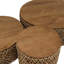 Aadhyan Drum Coffee Table