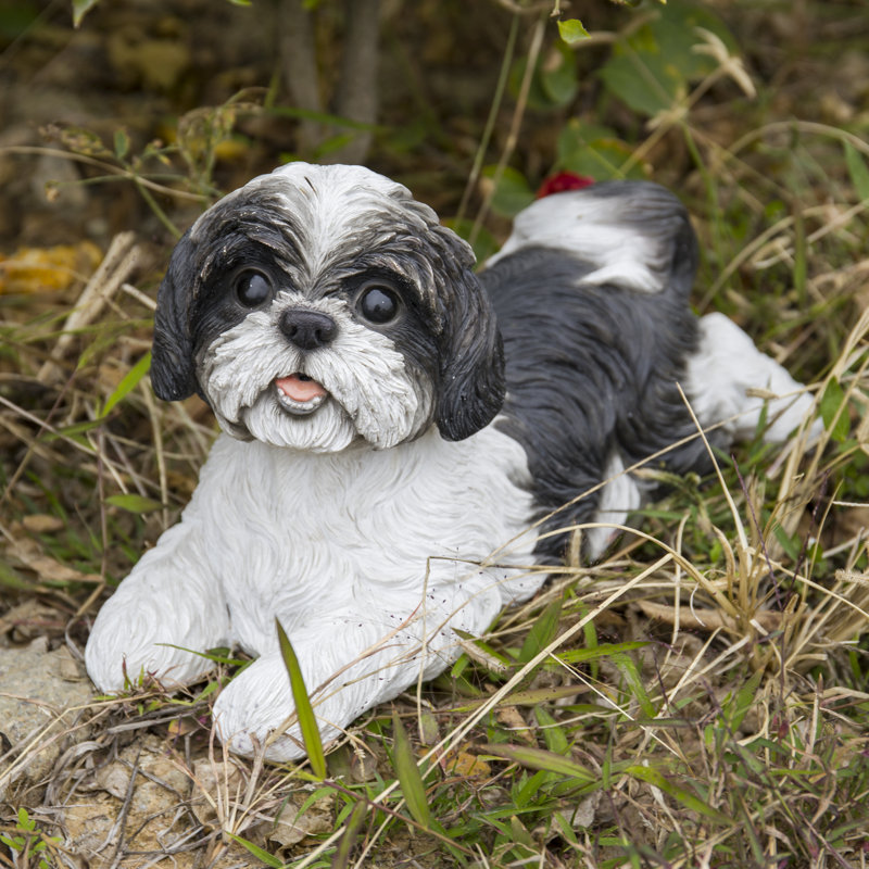 Statue d'un shih tzu allongé, Noir / Blanc