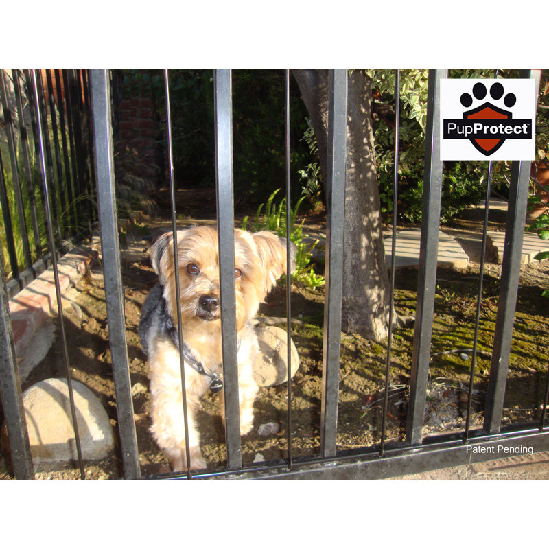 Clôture métallique additionnelle pour chiot, H 1,6 pi x l 7,9 pi
