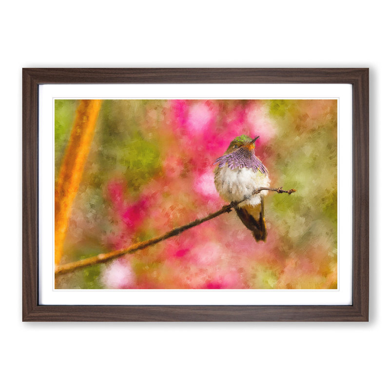 Hummingbird - Picture Frame Graphic Art Print, Walnut Framed, 62cm H x 87cm W x 2cm D