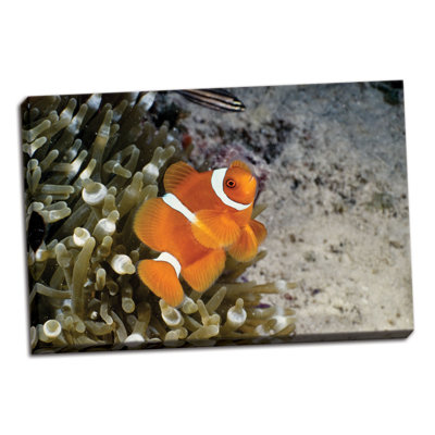 " Fish 4 " by Lee Peterson