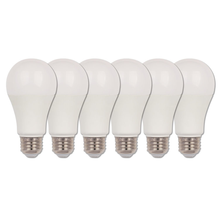100 Watt Equivalent A19 E26/Medium (Standard) LED Bulb