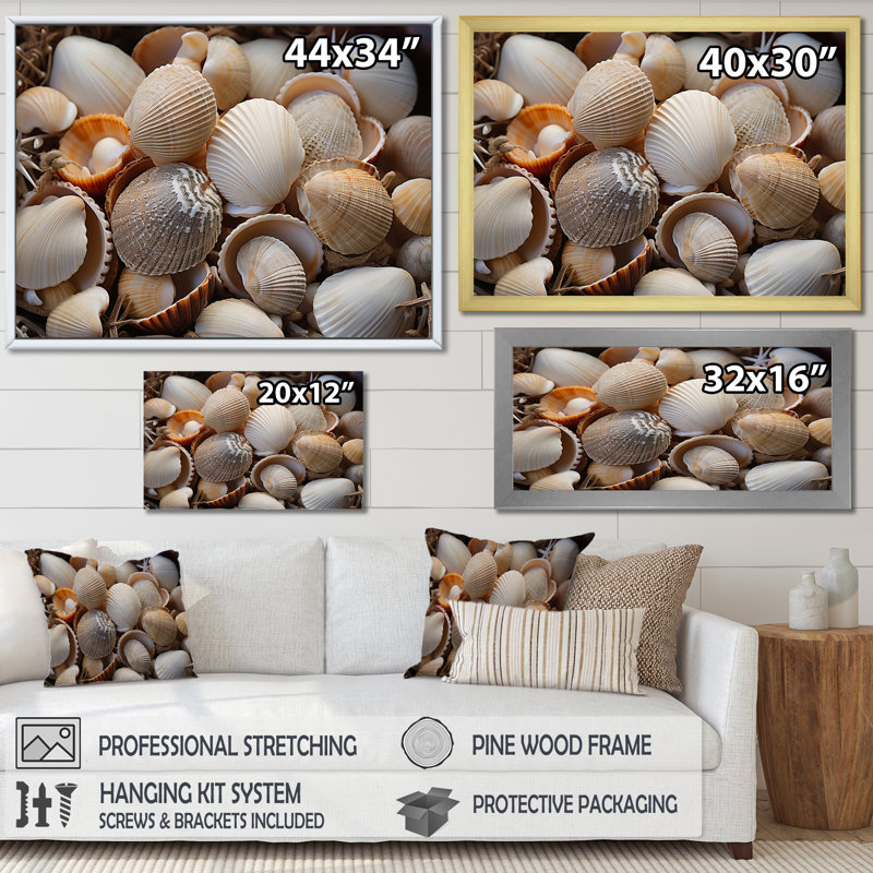«Beach Photo Seashell Symphony IX - Nautique et plage, reproduction d'art sur toile, Toile tendue, 12" H x 20" W
