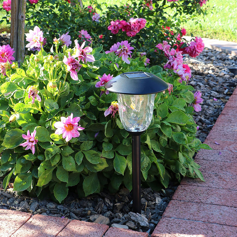 Black Stainless Steel Solar LED Pathway Light Pack, 4-Piece Set