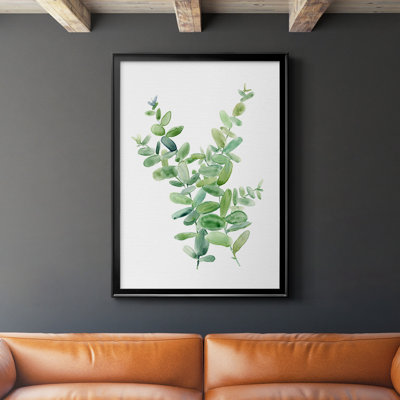 " Eucalyptus III "