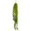 80 cm H Faux Plant-127680985