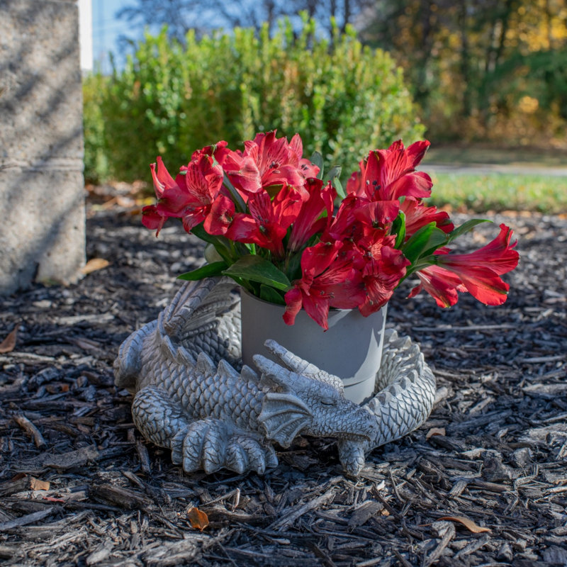 Garden Dragon Garden Sculpture Gray