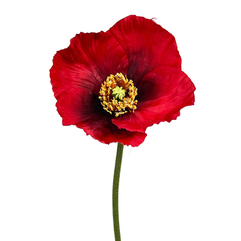 Poppy Arrangement, Red