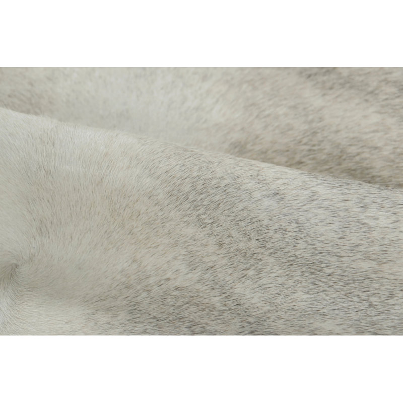 Modern Area Rug
