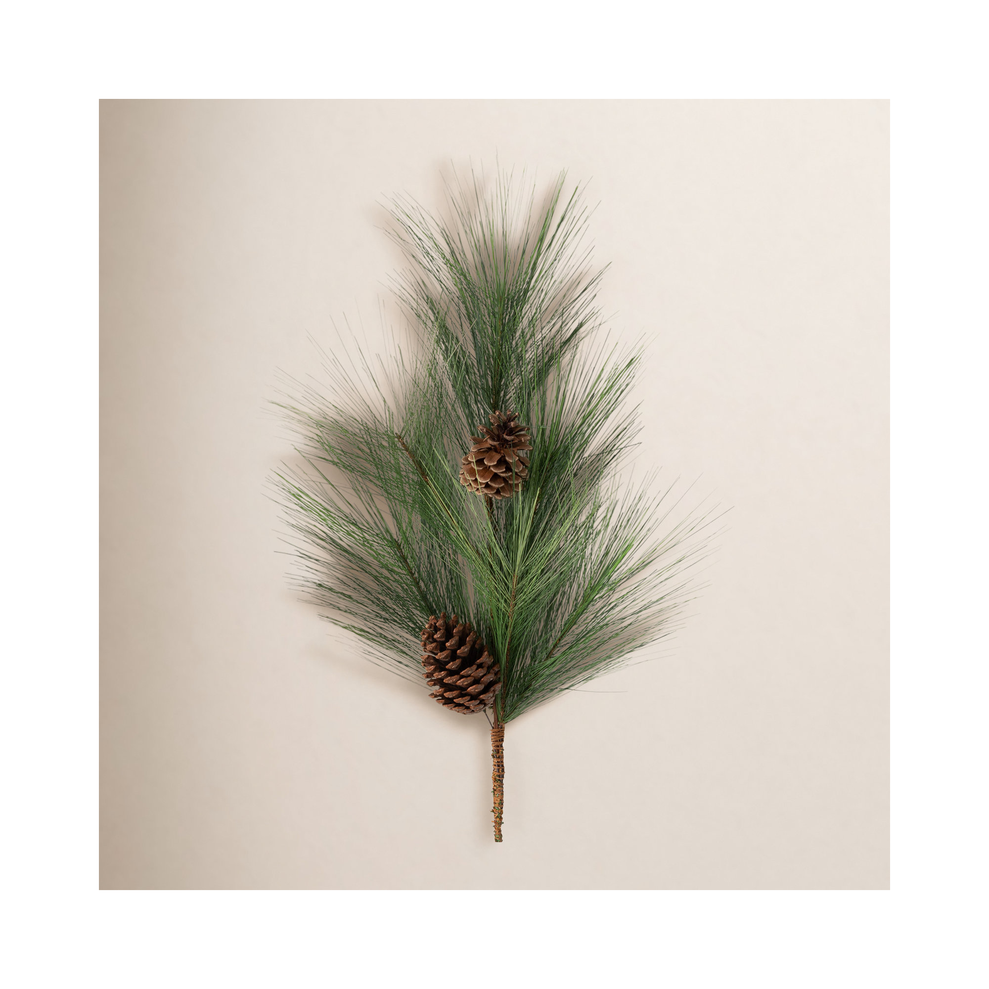 Pickens Pine Spray