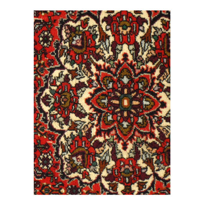 Schriever Oriental Indoor Rug