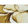 Pettingill Floral Indoor Rug