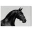 Midnight Majesty I Print by Oliver Gal-832405246-832405247