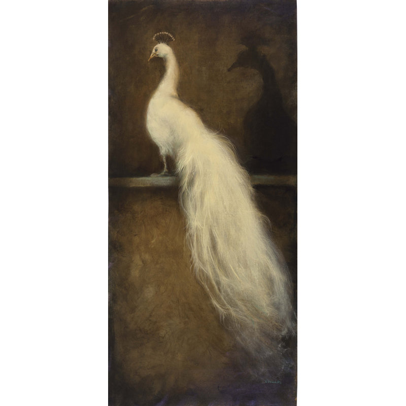 White Peacock 2 Print