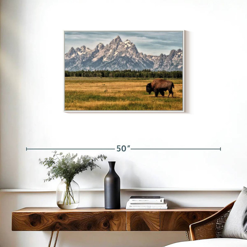 Bull Bison à Grand Teton, Cadre flottant blanc, 31 po x 21 po