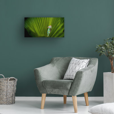 Bolog Sabriamin M What Is That? Canvas Art