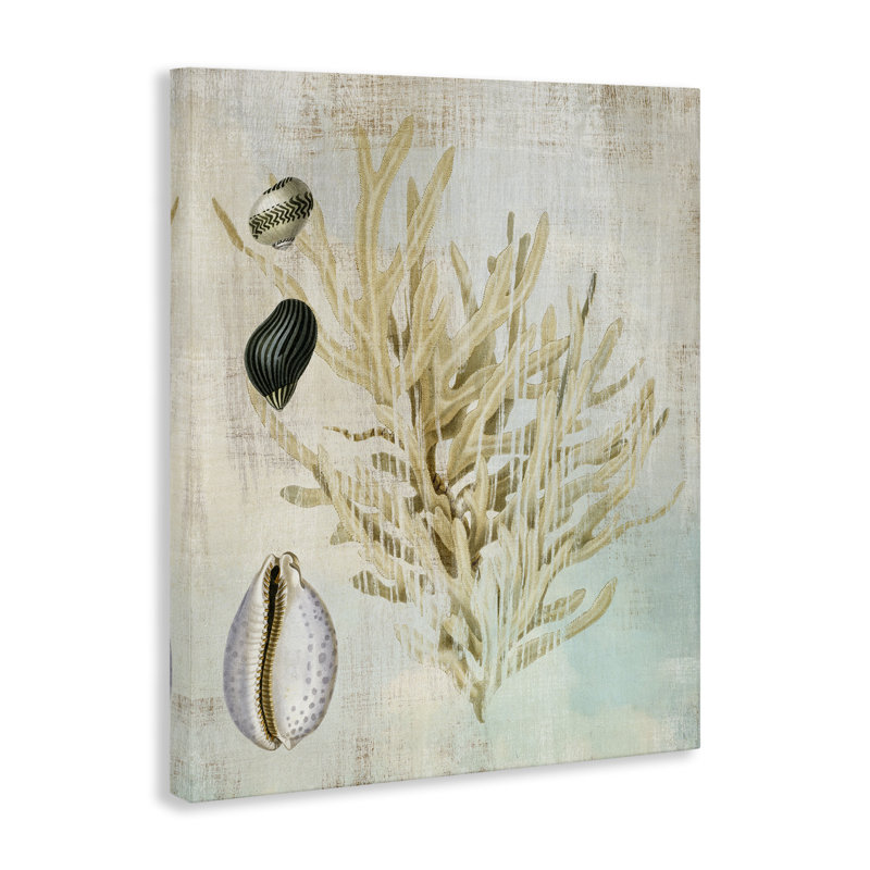 Branche de corail et toile de coquillages, par Susan Arnot, H 48 po x l 36 po