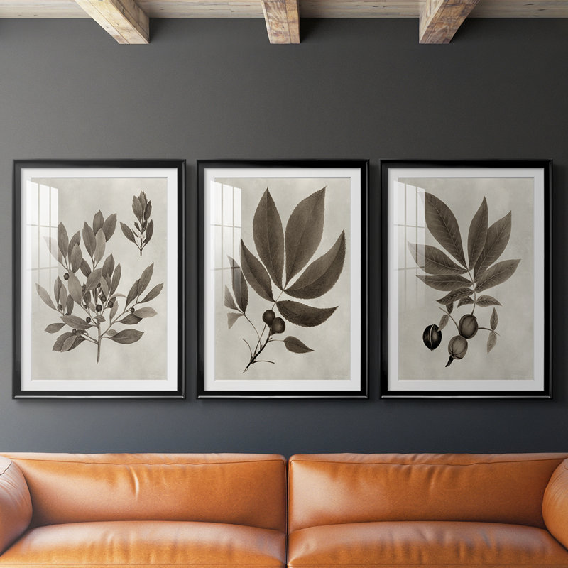 Arbor Speciment IV - reproduction sur mesure encadrée de qualité supérieure - 3 pièces