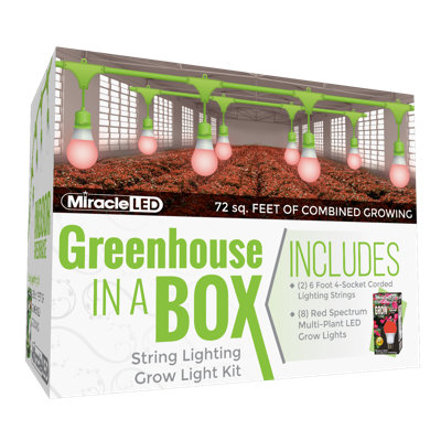 Miracle LED 9 Watt Growing Kit