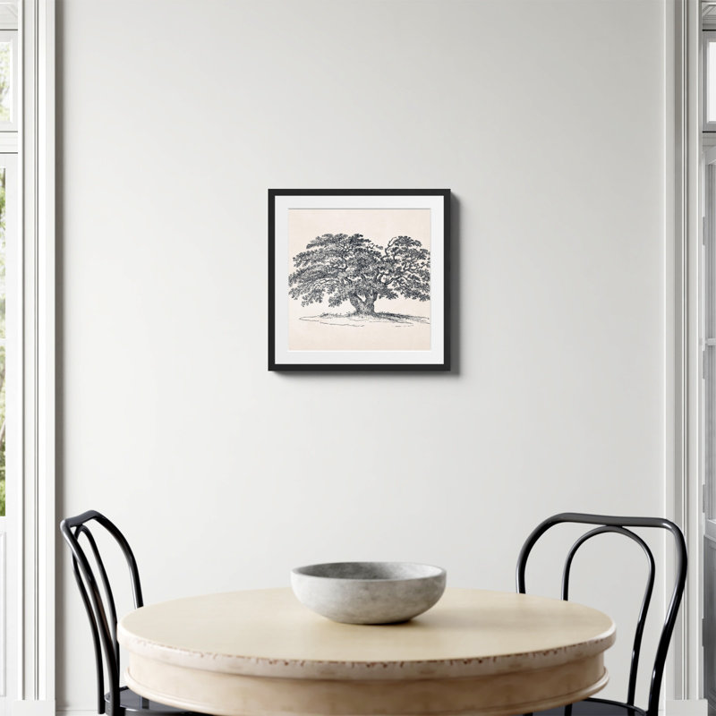 «Wide Oak Tree S Croquis» par Apolo, Oui, H 20 po x l 20 po, Papier avec cadre simple noir