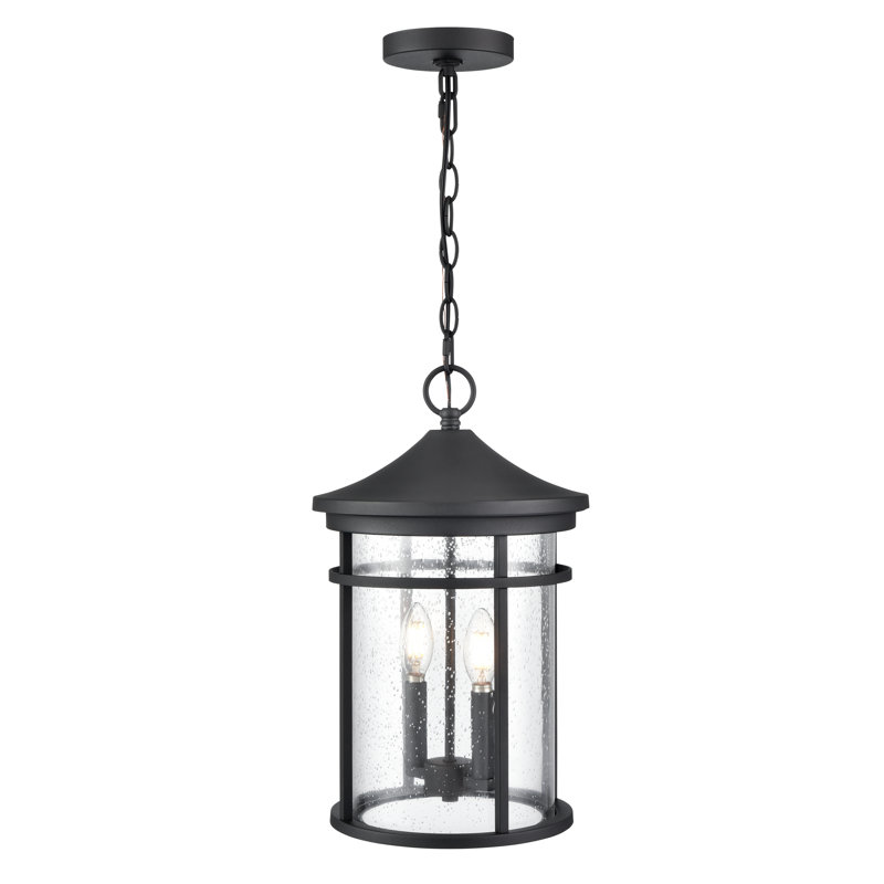 Zadrian 2 - Light 10.5" Wide Outdoor Hanging Lantern